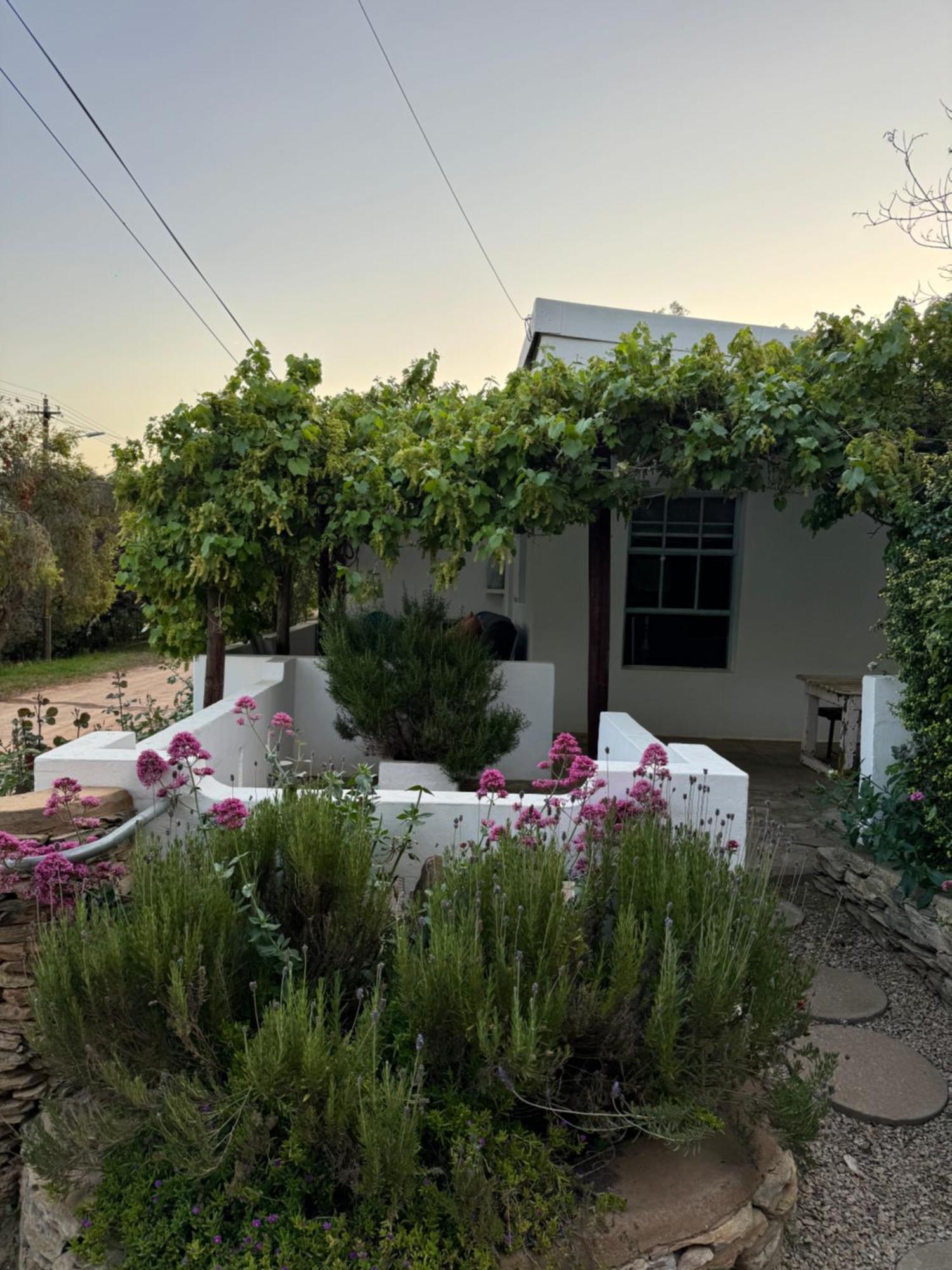 The Karoo Moon House & Cottage バリーデール エクステリア 写真